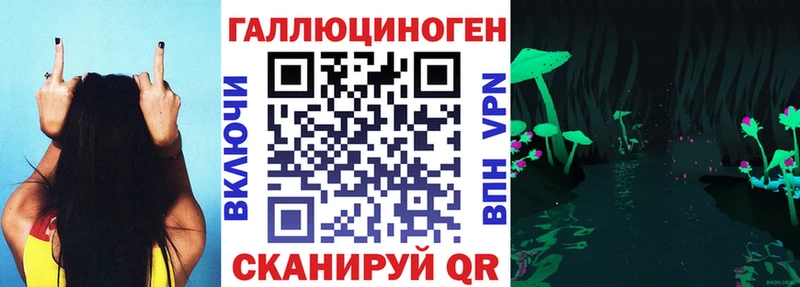 Псилоцибиновые грибы Cubensis  Макушино 